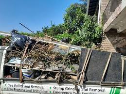 Best Hoarding Cleanup  in Independence, KS
